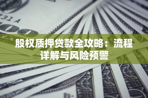 武汉股权质押贷款全攻略：流程详解与风险预警