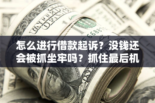 武汉怎么进行借款起诉？没钱还会被抓坐牢吗？抓住最后机会！