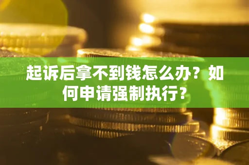 武汉起诉后拿不到钱怎么办？如何申请强制执行？