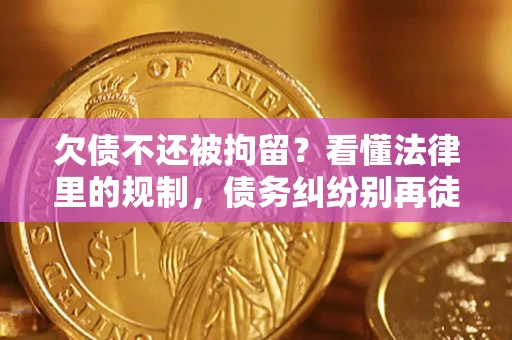 武汉欠债不还被拘留？看懂法律里的规制，债务纠纷别再徒劳奔波