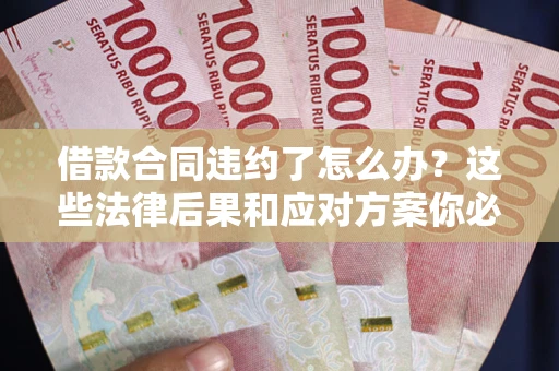 武汉借款合同违约了怎么办？这些法律后果和应对方案你必须知道