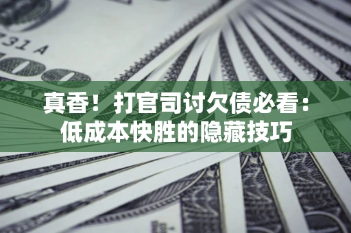 武汉真香！打官司讨欠债必看：低成本快胜的隐藏技巧
