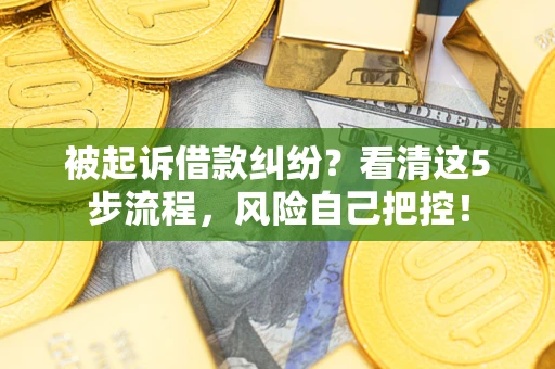 武汉被起诉借款纠纷？看清这5步流程，风险自己把控！