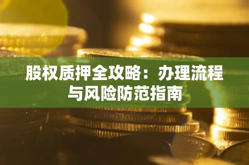 武汉股权质押全攻略：办理流程与风险防范指南